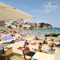 фото из отзыва ID 2017928