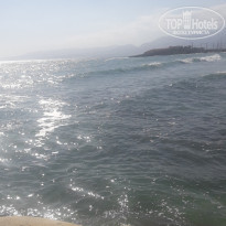 фото из отзыва ID 2015354