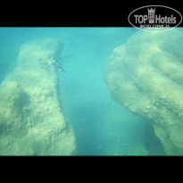 фото из отзыва ID 2019208