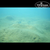 фото из отзыва ID 2019208