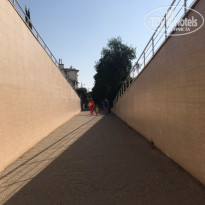 фото из отзыва ID 2015080