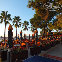 фото из отзыва ID 2012901