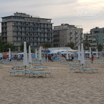 фото из отзыва ID 2019152