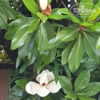 фото из отзыва ID 2019076