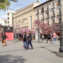 фото из отзыва ID 2012118