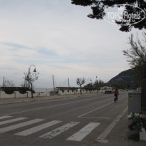 фото из отзыва ID 202044