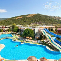 фото из отзыва ID 202403