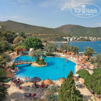 фото из отзыва ID 202403