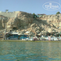 фото из отзыва ID 202614