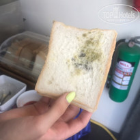 фото из отзыва ID 2020006