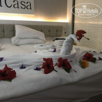 фото из отзыва ID 2020036