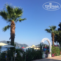 фото из отзыва ID 2020094