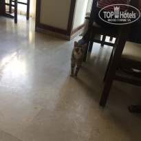 фото из отзыва ID 2020094