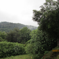 фото из отзыва ID 2020135