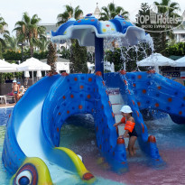 фото из отзыва ID 2020313