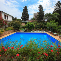 фото из отзыва ID 2020391