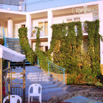 фото из отзыва ID 2020461