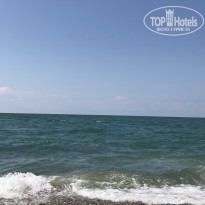 фото из отзыва ID 2020470