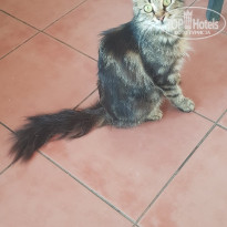 фото из отзыва ID 2020579