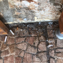 фото из отзыва ID 2020597