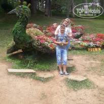 фото из отзыва ID 2020533