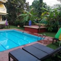 фото из отзыва ID 2020973