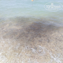 фото из отзыва ID 2021051