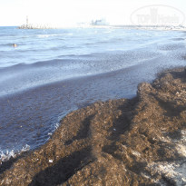 фото из отзыва ID 2021053