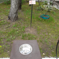 фото из отзыва ID 2021108