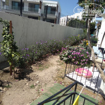 фото из отзыва ID 2021177