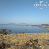 фото из отзыва ID 2021177