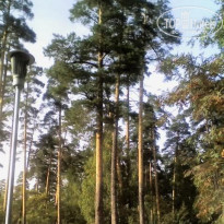 фото из отзыва ID 2021181