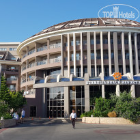 фото из отзыва ID 2021142