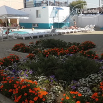 фото из отзыва ID 2021259