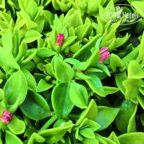 фото из отзыва ID 2021287