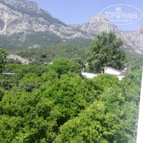 фото из отзыва ID 2021325