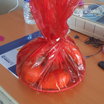 фото из отзыва ID 2021362