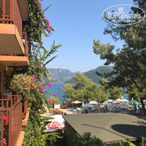 фото из отзыва ID 2021422