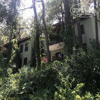 фото из отзыва ID 2021422