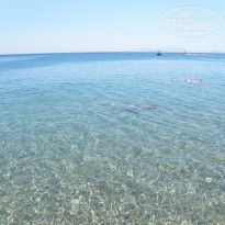 фото из отзыва ID 2020243