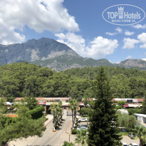 фото из отзыва ID 2021518