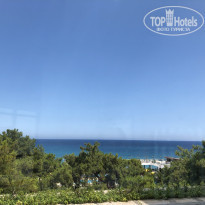 фото из отзыва ID 2021518