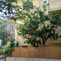 фото из отзыва ID 2021529