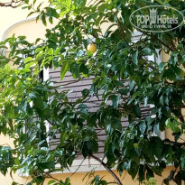 фото из отзыва ID 2021529