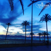 фото из отзыва ID 2021685