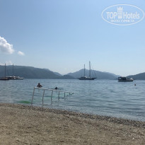 фото из отзыва ID 2021726