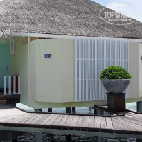 фото из отзыва ID 2021795