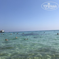 фото из отзыва ID 2021873