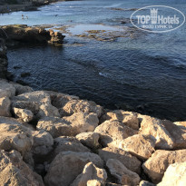 фото из отзыва ID 2021873