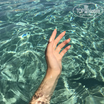 фото из отзыва ID 2021873